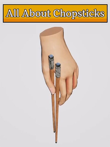 All About Chopsticks – v1.5.1 FitGirl — скриншот