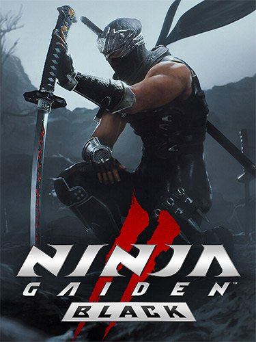 NINJA GAIDEN 2 Black, v1.0.5.0 FitGirl — скриншот