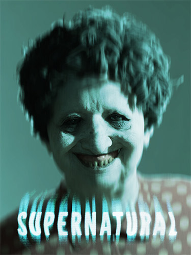 Supernatural – v1.2.1 + Windows 7 Fix FitGirl — скриншот