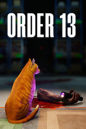ORDER 13 — скриншот
