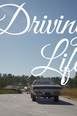 Driving Life — скриншот
