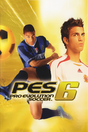 Pro Evolution Soccer 6 — скриншот