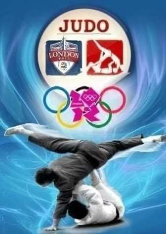 3D Judo Fighting — скриншот