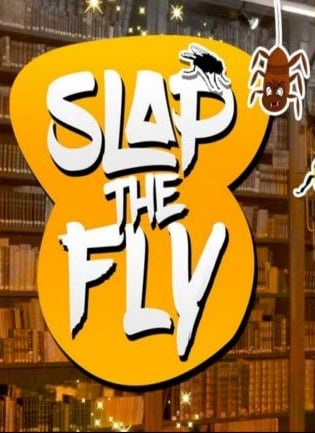 Slap The Fly — скриншот