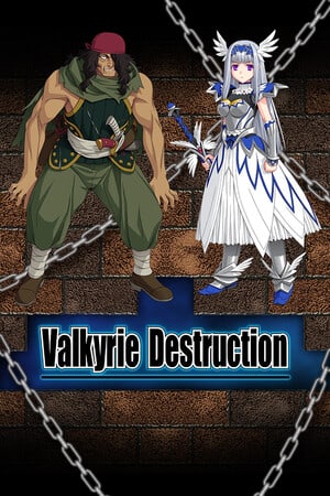 Valkyrie Destruction — скриншот