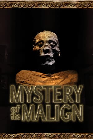Mystery of the Malign — скриншот