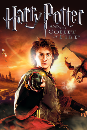 Harry Potter and the Goblet of Fire — скриншот