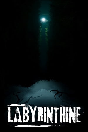 Labyrinthine — скриншот